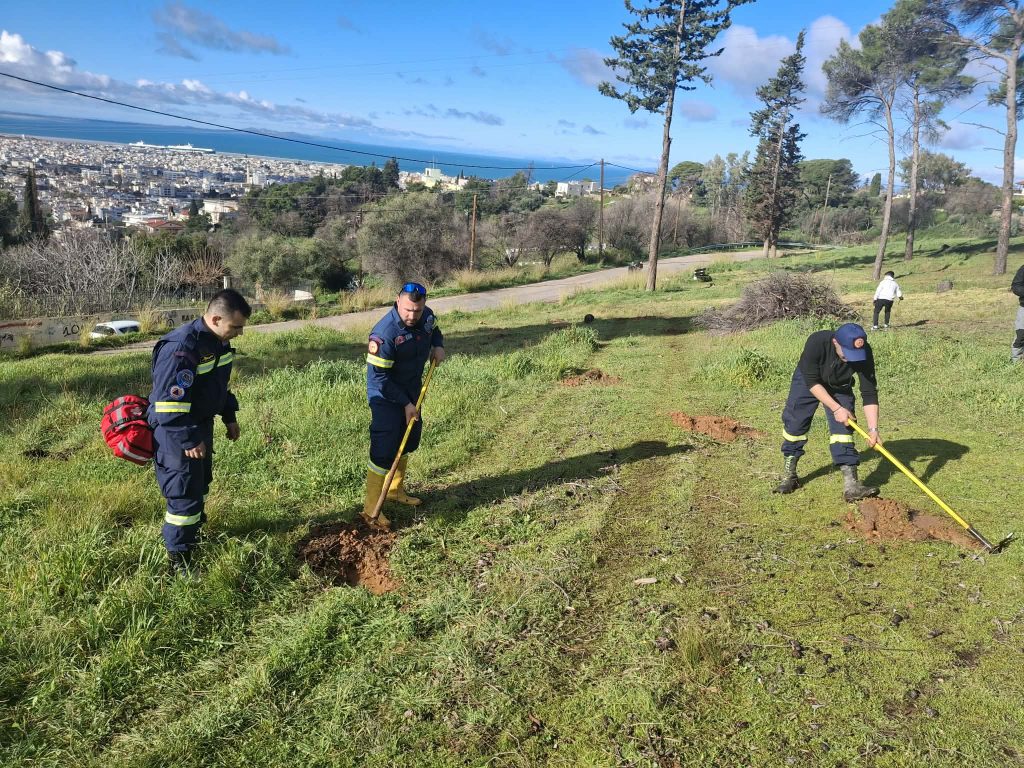 Πάτρα: Δείτε καρέ καρέ πώς έγινε η αναδάσωση στο Γηροκομειό