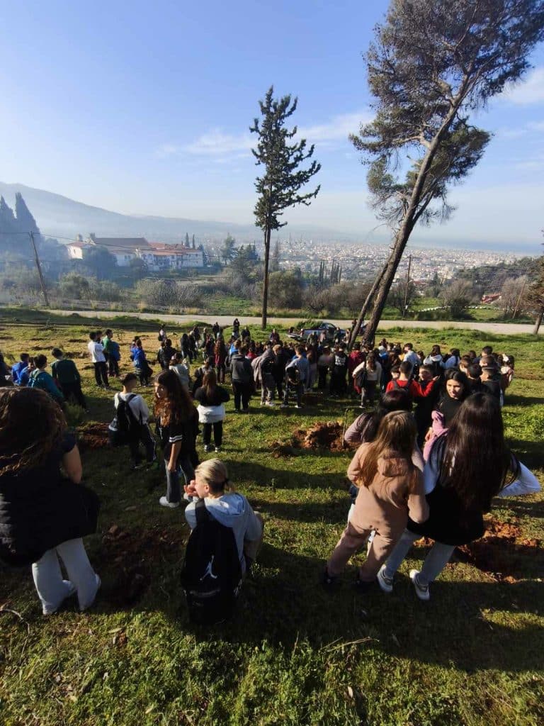 Πάτρα: Δείτε καρέ καρέ πώς έγινε η αναδάσωση στο Γηροκομειό