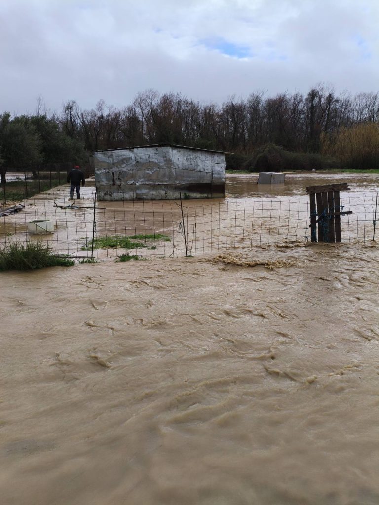 Δείτε φωτό: Μεγάλες οι ζημιές στην Πηνεία Ηλείας από τις βροχοπτώσεις