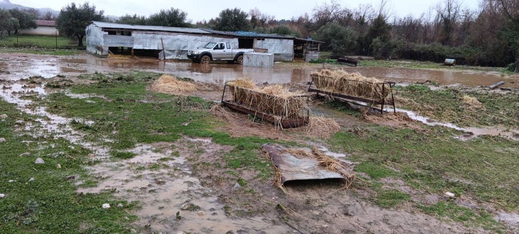 Δείτε φωτό: Μεγάλες οι ζημιές στην Πηνεία Ηλείας από τις βροχοπτώσεις Δείτε φωτό: Μεγάλες οι ζημιές στην Πηνεία Ηλείας από τις βροχοπτώσεις