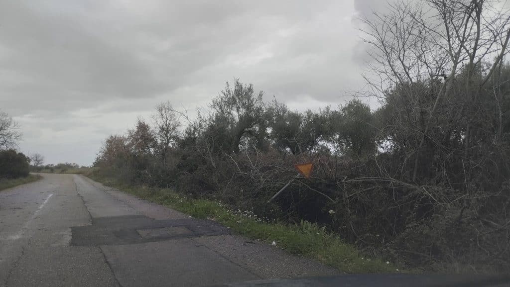 Ανεμοστρόβιλος στον Δήμο Ανδραβίδας Κυλλήνης - φωτό