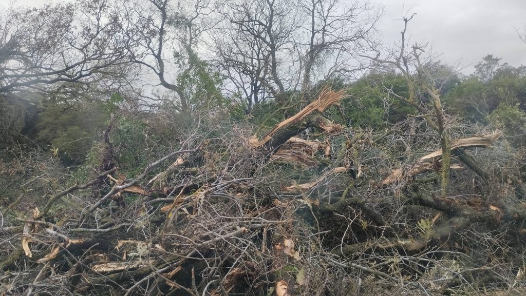 Ανεμοστρόβιλος στον Δήμο Ανδραβίδας Κυλλήνης - φωτό