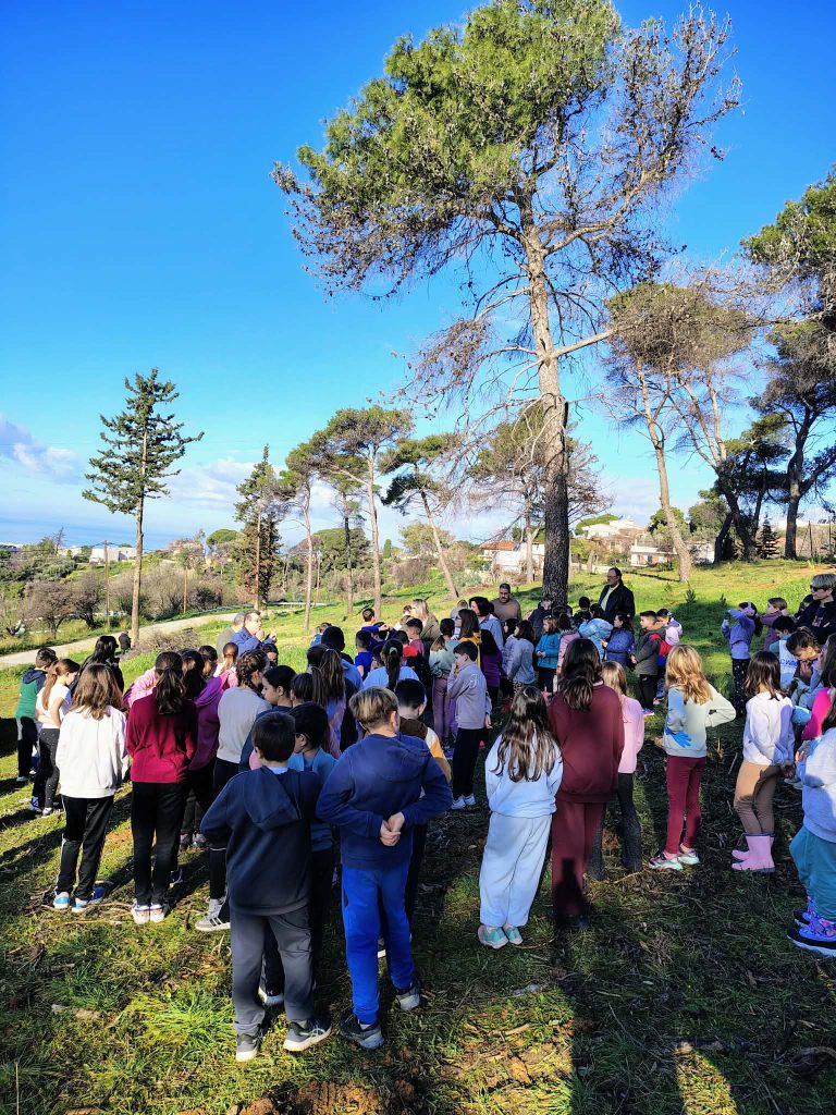 Πάτρα: Δείτε καρέ καρέ πώς έγινε η αναδάσωση στο Γηροκομειό