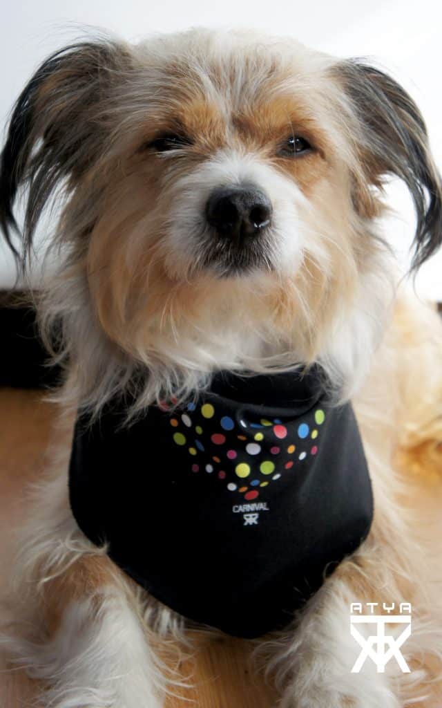 Η Νέα Μόδα του Kαρναβαλιού που γεννήθηκε στην Πάτρα! φωτό