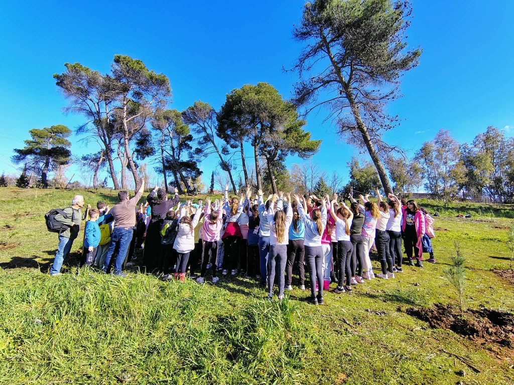 Πάτρα: Δείτε καρέ καρέ πώς έγινε η αναδάσωση στο Γηροκομειό