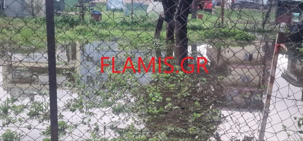 Πάτρα - φωτό και βίντεο: Πλημμύρισαν στα Κρύα Ιτεών - Σε απόγνωση οι κάτοικοι