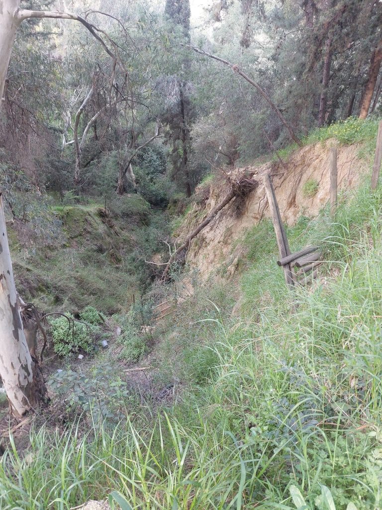 Πάτρα - Δασύλλιο: Εικόνες καταστροφής