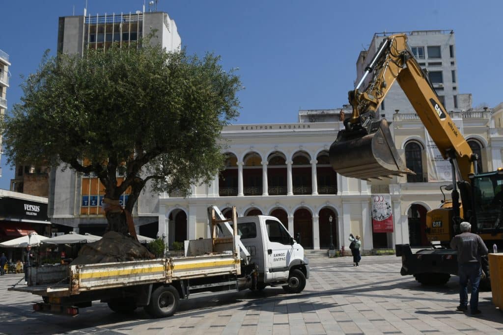 Πάτρα: Μια ελιά, το σύμβολο της ειρήνης στην πλατεία Γεωργίου