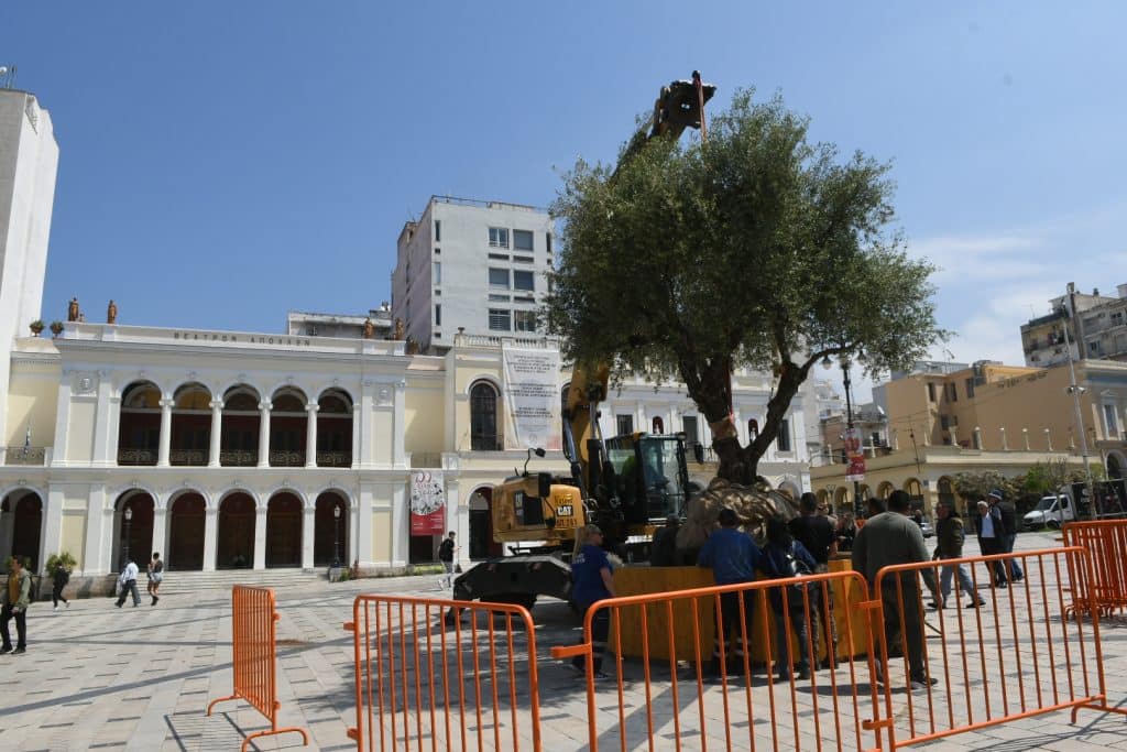 Πάτρα: Μια ελιά, το σύμβολο της ειρήνης στην πλατεία Γεωργίου