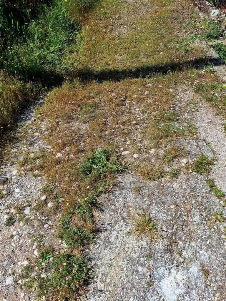 Aχαϊα: Τραυματίστηκε γυναίκα σε επικίνδυνο αυλάκι - φωτο