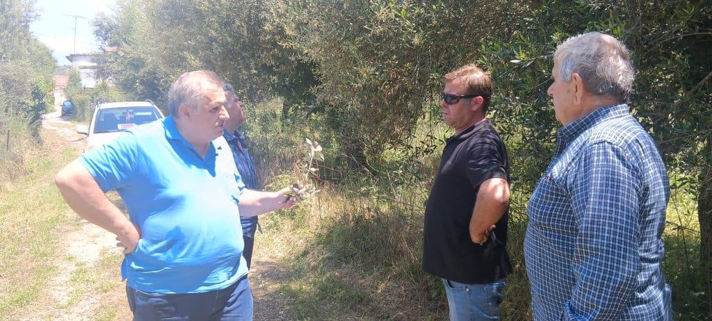 Καταστροφές στην Ηλεία από το χαλάζι! Αμεση η αυτοψία από τον ΕΛΓΑ Πάτρας - φωτο