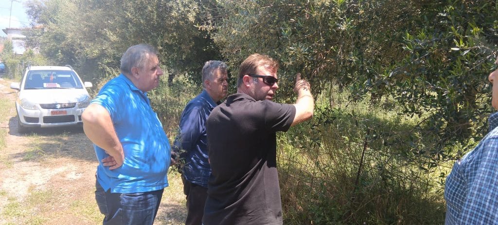 Καταστροφές στην Ηλεία από το χαλάζι! Αμεση η αυτοψία από τον ΕΛΓΑ Πάτρας - φωτο