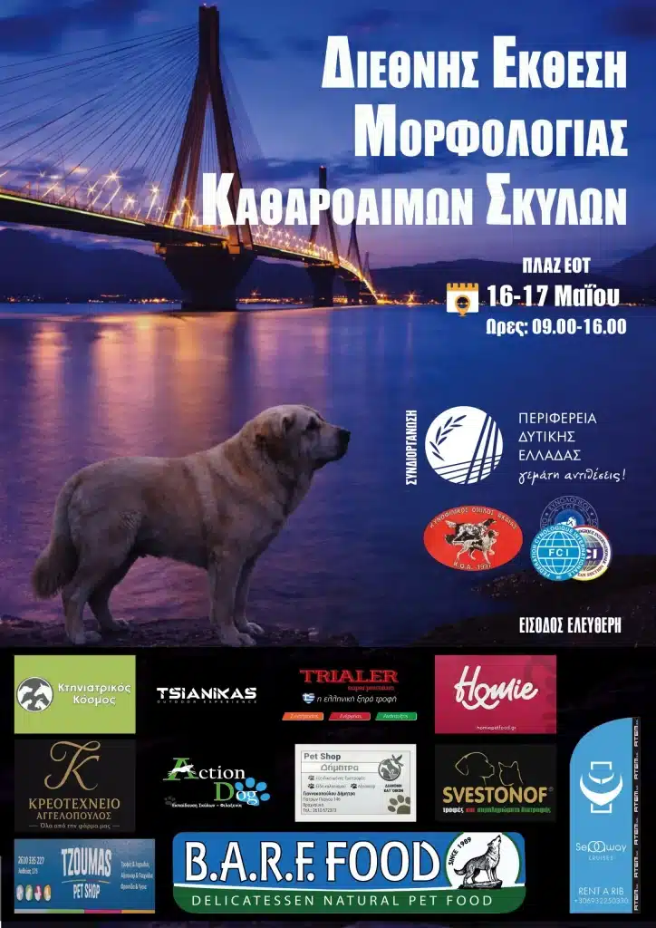 Πάτρα: Το Σαββατοκύριακο καλλιστεία σκύλων στην πόλη - δείτε την αφίσα