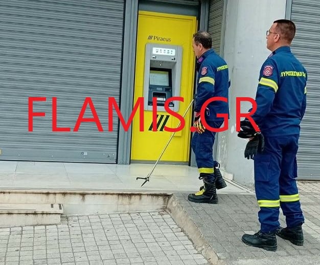 Πάτρα: Συναγερμός στην Πυροσβεστική - Δηλητηριώδες φίδι έξω από τράπεζα - φωτο
