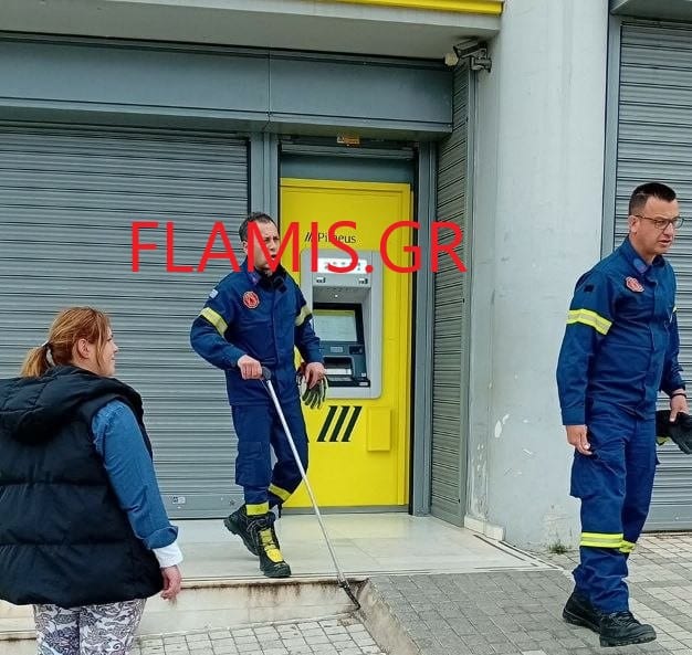Πάτρα: Συναγερμός στην Πυροσβεστική - Δηλητηριώδες φίδι έξω από τράπεζα - φωτο