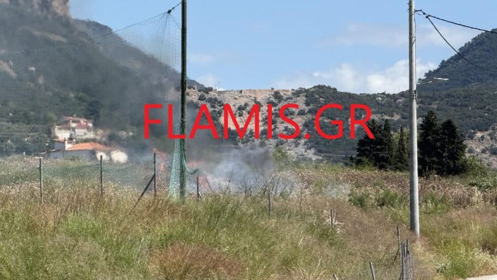 Πάτρα: Φωτιά στον Ριγανόκαμπο κοντά στο "τένις" και σε σπίτια - φωτο
