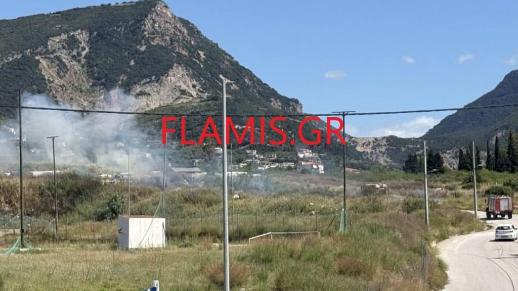 Πάτρα: Φωτιά στον Ριγανόκαμπο κοντά στο "τένις" και σε σπίτια - φωτο Πάτρα: Φωτιά στον Ριγανόκαμπο κοντά στο "τένις" και σε σπίτια - φωτο