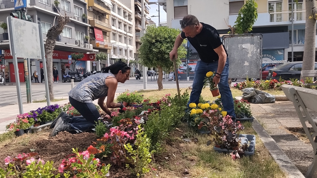 Πάτρα: Φύτεψαν λουλούδια στις πλατείες Πίνδου και Μαρκάτου - φωτο