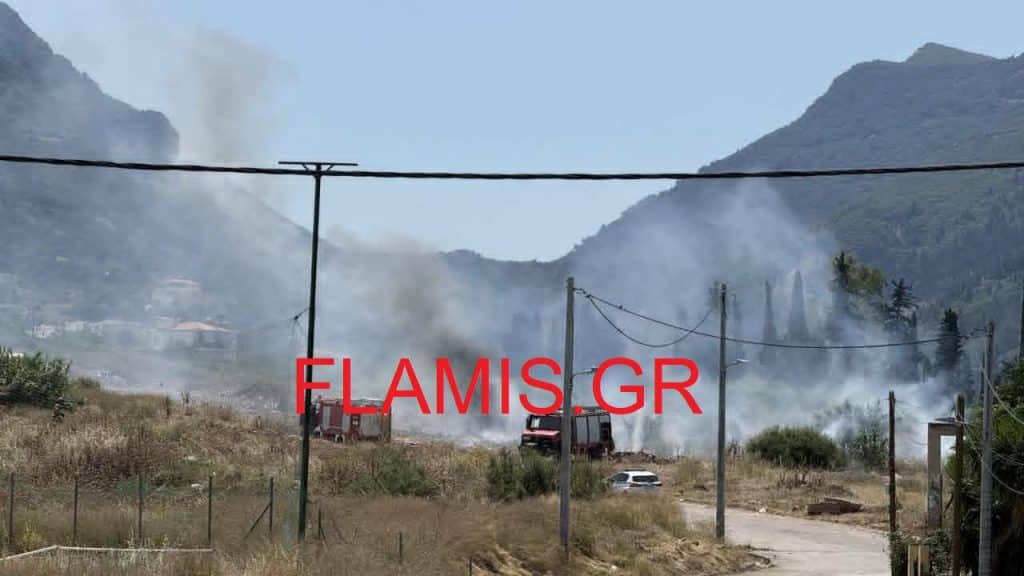 Πάτρα: Νέα φωτιά στον Ριγανόκαμπο - ΦΩΤΟ