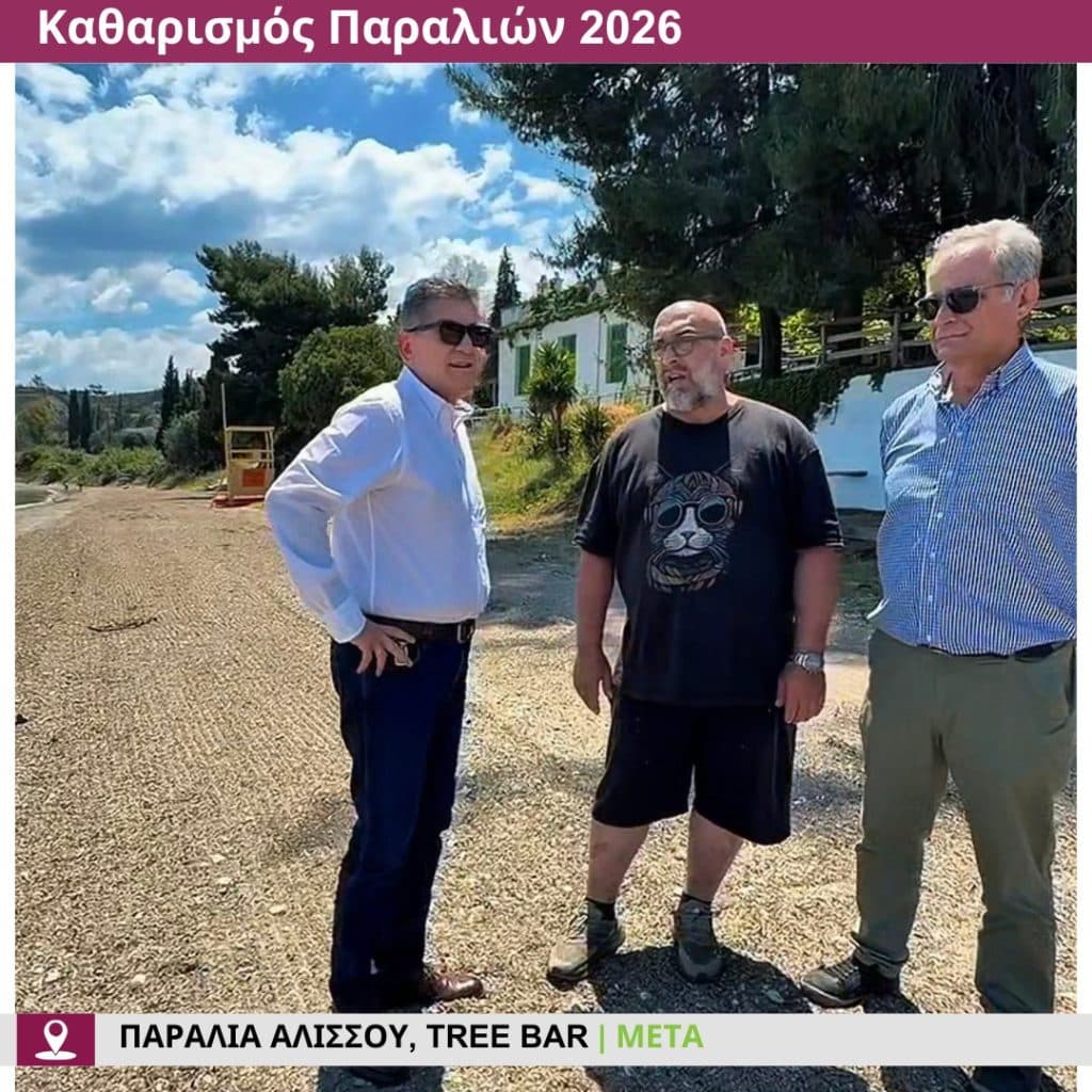 Δείτε πώς άλλαξε η παραλία στο Tree Bar στην παραλία Αλισσού - φωτο