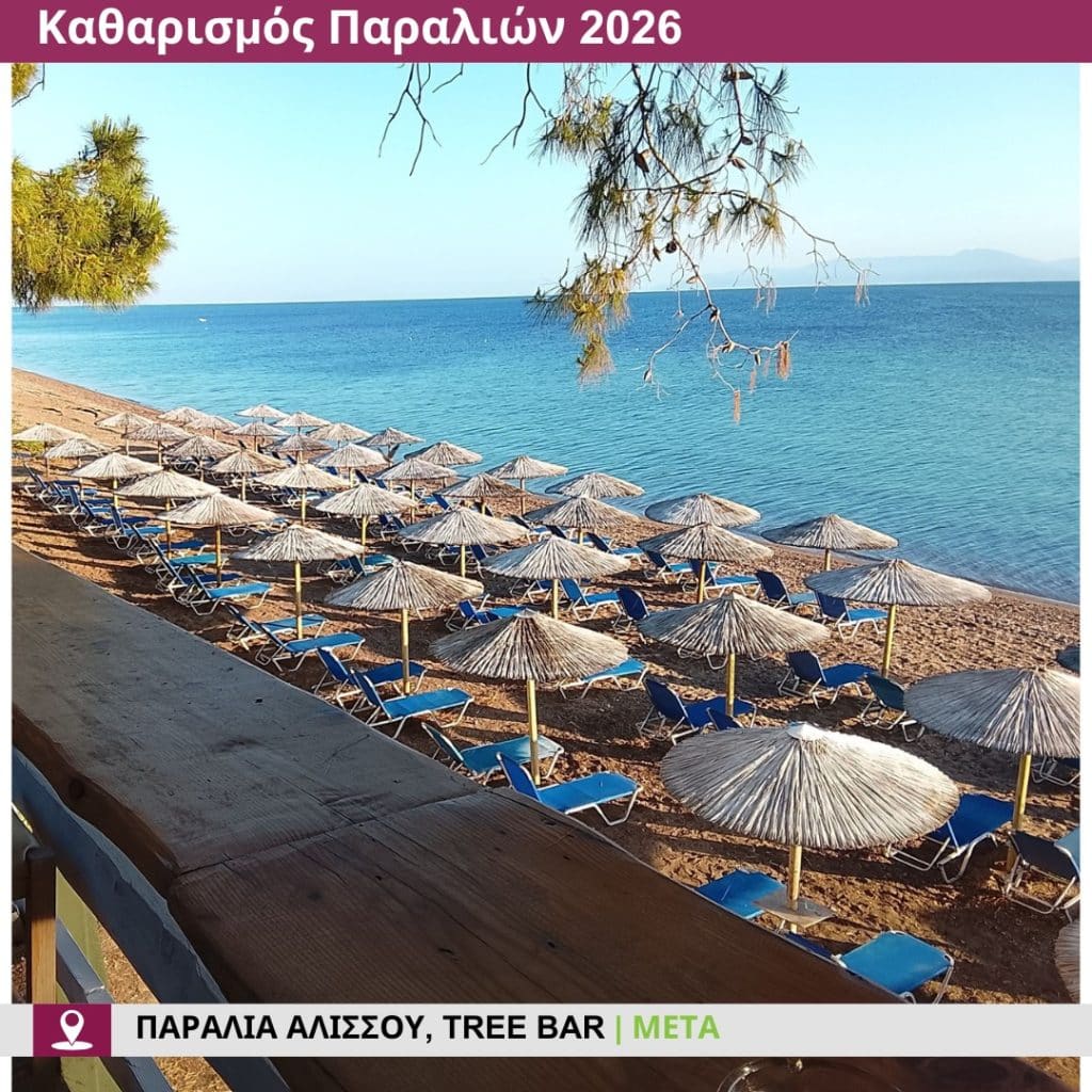 Δείτε πώς άλλαξε η παραλία στο Tree Bar στην παραλία Αλισσού - φωτο Δείτε πώς άλλαξε η παραλία στο Tree Bar στην παραλία Αλισσού - φωτο