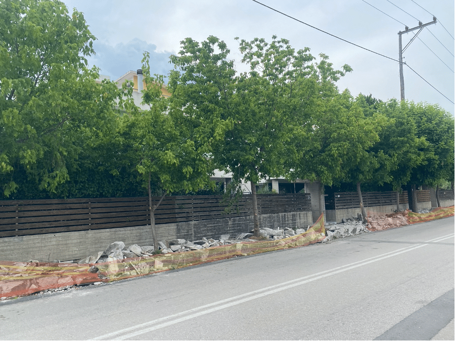 Κόπηκαν δέντρα 30 ετών για την κατασκευή πεζοδρομίου – Ποιος αποφάσισε ότι δεν μπορούσαν να σωθούν; φωτο