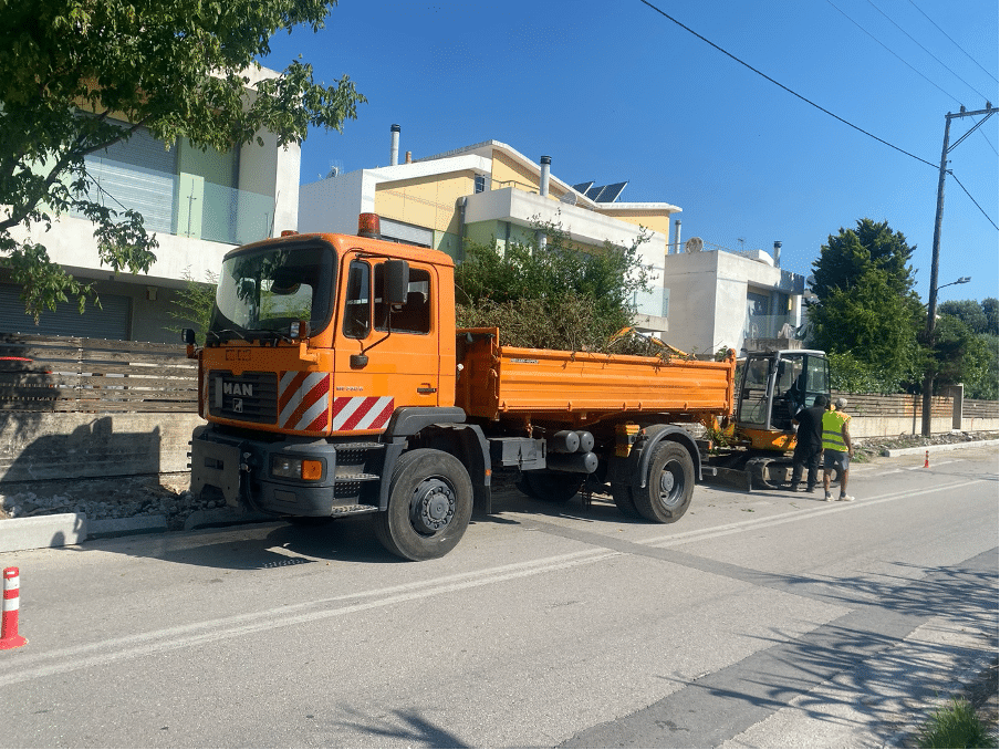 Κόπηκαν δέντρα 30 ετών για την κατασκευή πεζοδρομίου – Ποιος αποφάσισε ότι δεν μπορούσαν να σωθούν; φωτο