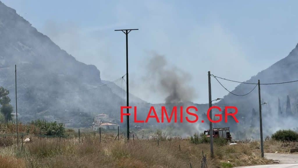 Πάτρα: Νέα φωτιά στον Ριγανόκαμπο - ΦΩΤΟ
