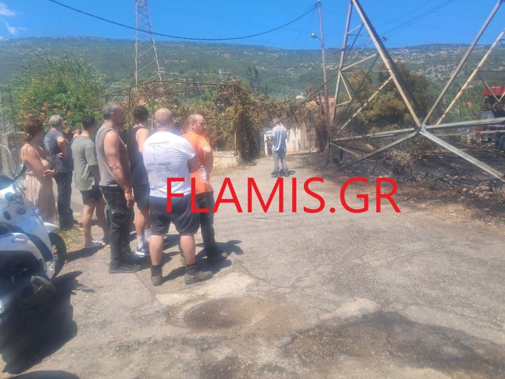 Μάχη με τις φλόγες στην Μαμουλάδα Ναυπάκτου - Απειλήθηκαν σπίτια - φωτο και βιντεο Μάχη με τις φλόγες στην Μαμουλάδα Ναυπάκτου - Απειλήθηκαν σπίτια - φωτο και βιντεο