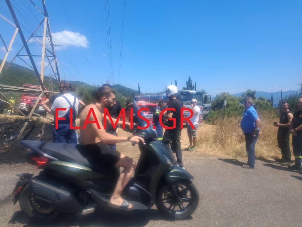 Μάχη με τις φλόγες στην Μαμουλάδα Ναυπάκτου - Απειλήθηκαν σπίτια - φωτο και βιντεο