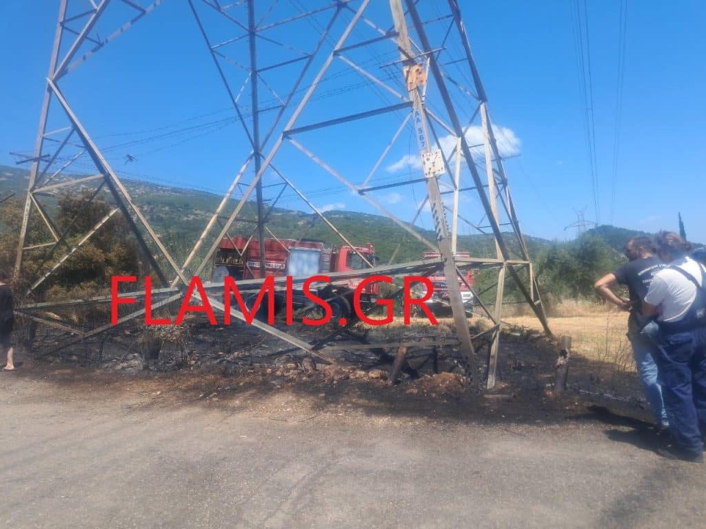 Μάχη με τις φλόγες στην Μαμουλάδα Ναυπάκτου - Απειλήθηκαν σπίτια - φωτο και βιντεο