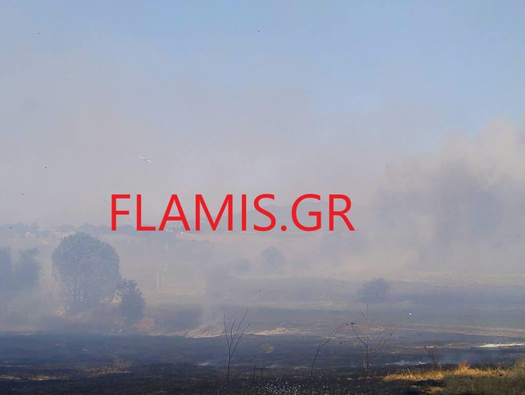 Δείτε φωτό και βίντεο: Απείλησε εκκλησάκι η φωτιά στη Βάρδα - Συνεχίζεται η μάχη με τις φλόγες