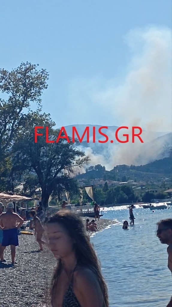 ΕΚΤΑΚΤΟ - Αχαϊα: Φωτιά πάνω από την Ακολη - Κοντά σε σπίτια - φωτο
