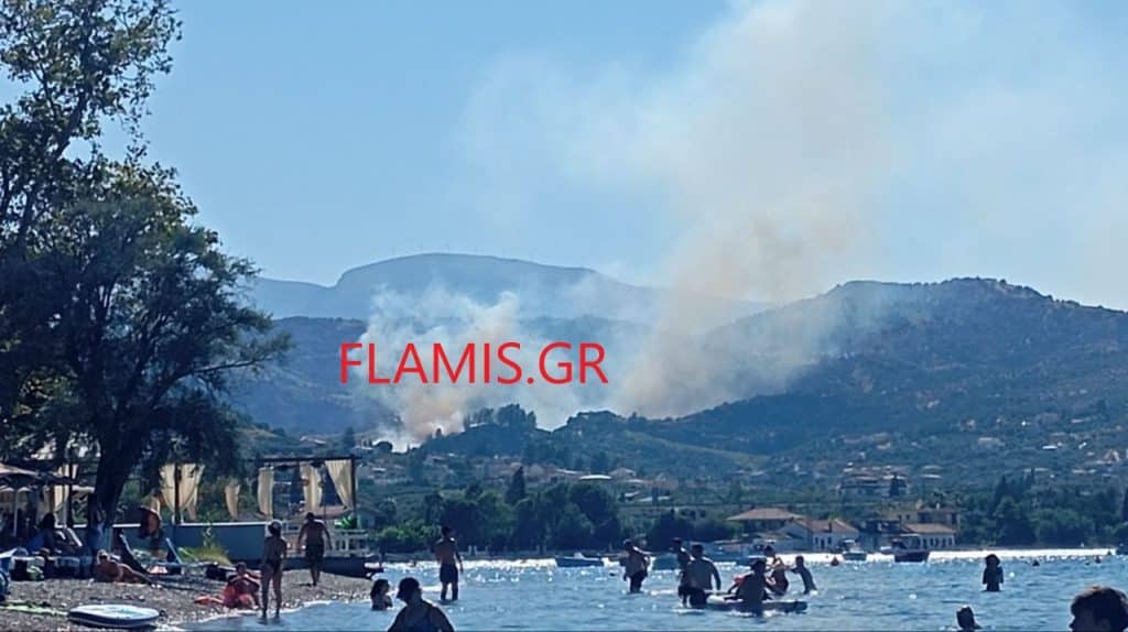 ΕΚΤΑΚΤΟ - Αχαϊα: Φωτιά πάνω από την Ακολη - Κοντά σε σπίτια - φωτο