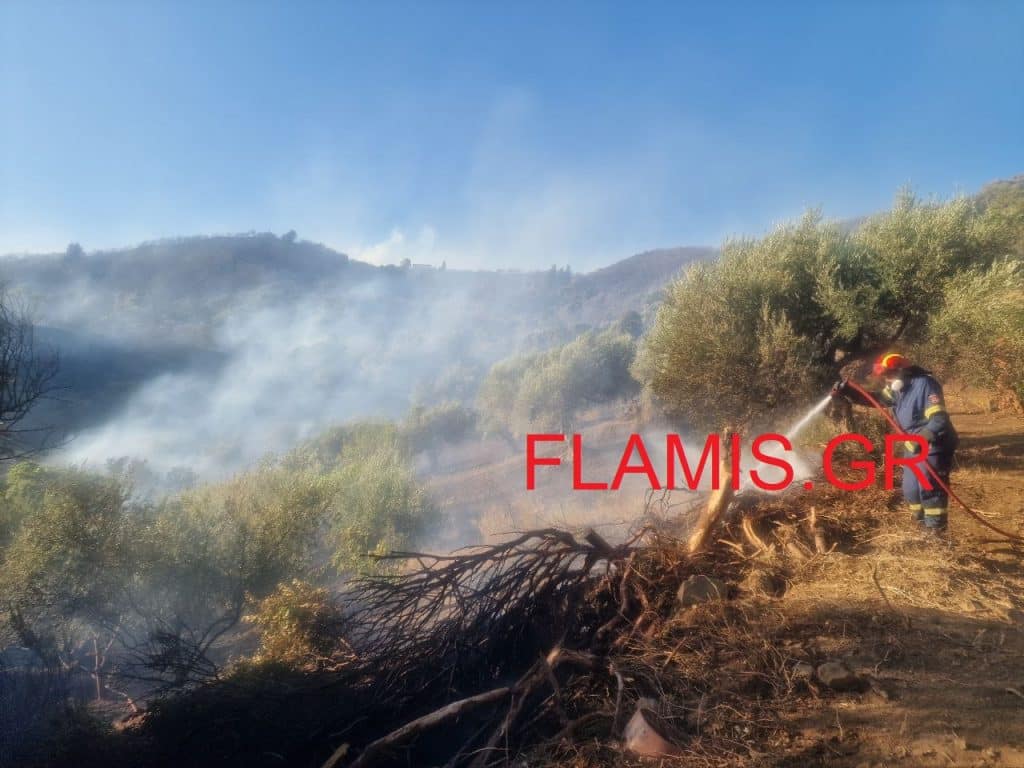 Ώρα 8 π.μ. - Το flamis.gr στο μέτωπο της φωτιάς στο Φλόκα - Καήκε ένα σπίτι