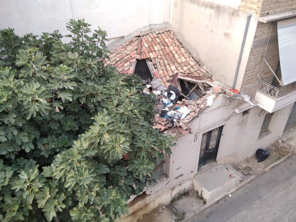 Πάτρα: Ακόμη και μία συκιά μπορεί να σε ταλαιπωρήσει... δύο χρόνια! Απίστευτη περιπέτεια Πατρινής