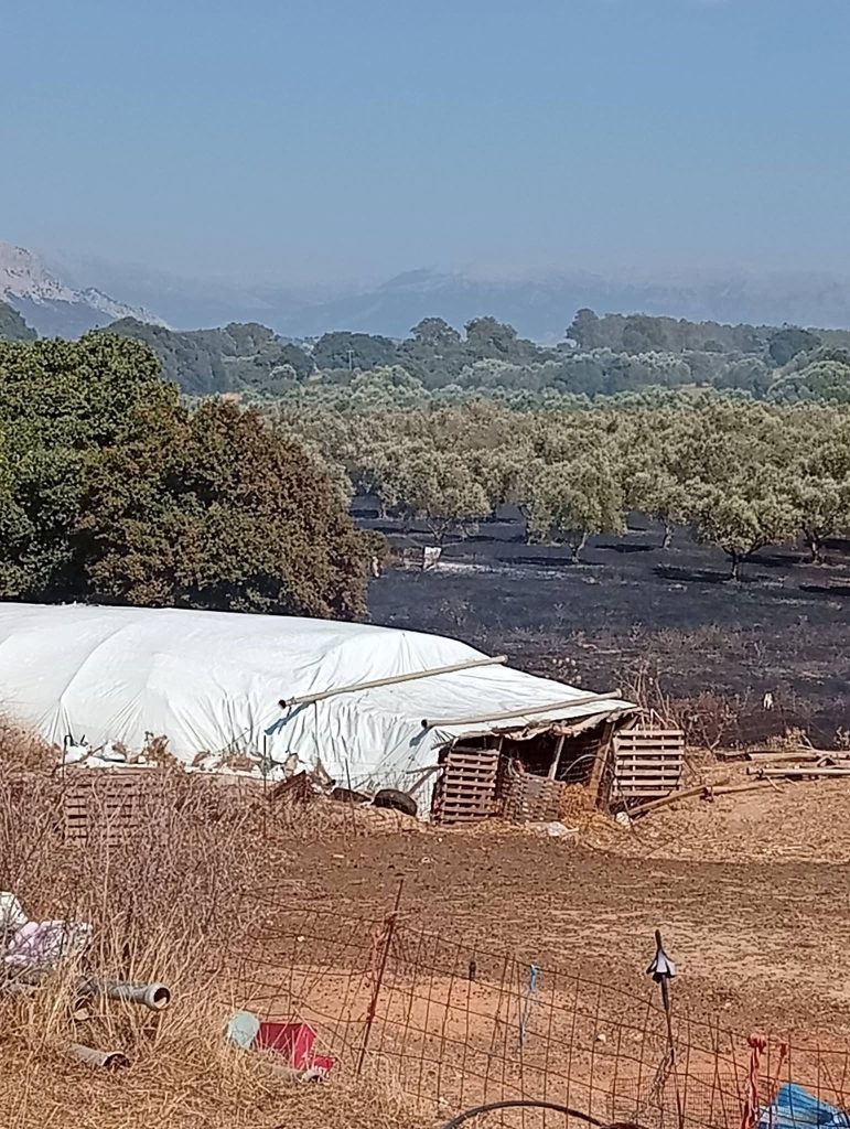Δείτε φωτό: Η φωτιά στην Αγία Μαρίνα - Δύο αεροσκάφη και μεγάλη δύναμη της Π.Υ.