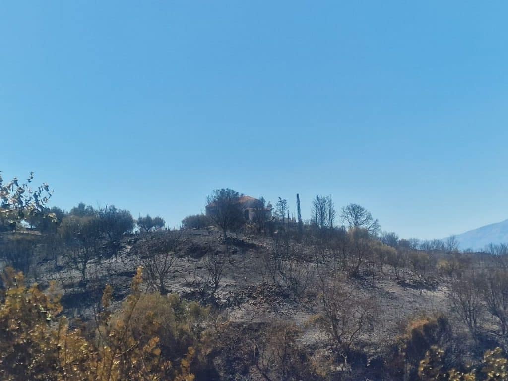Πάτρα: Κόλαση το τριήμερο με 6 πυρκαγιές στην Δυτική Ελλάδα: Λες και οι φλόγες είχαν υψώσει τείχη στον Κορινθιακό κόλπο