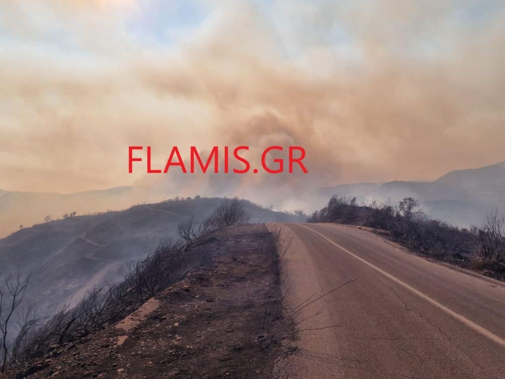 Φωκίδα: Βελτιωμένη η εικόνα της φωτιάς αλλά και κίνδυνος αναζωπύρωσης - Ζημιές σε οικισμούς - Κάηκαν σπίτι και εγκαταστάσεις