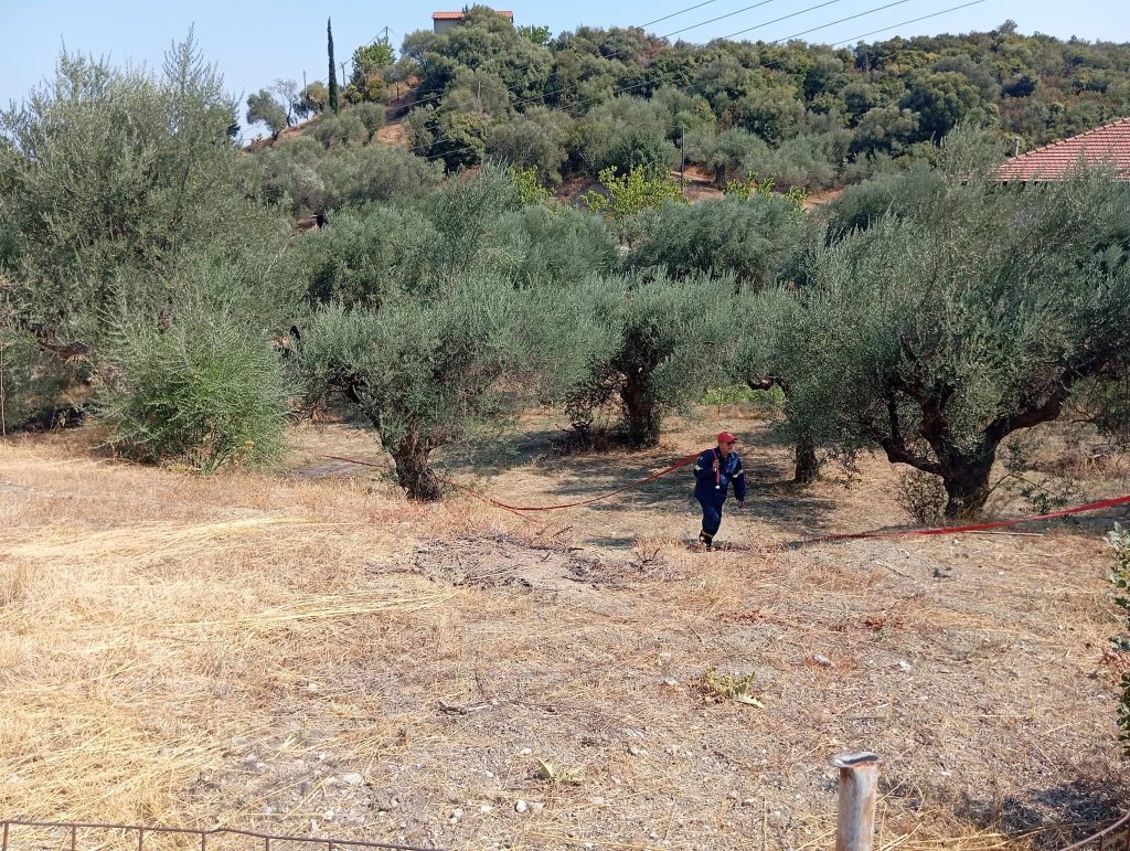 Κι άλλη φωτιά στη Ναύπακτο - φωτο