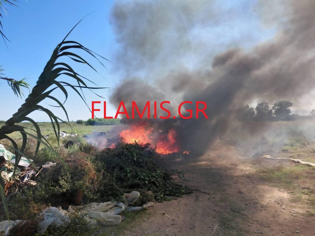 Πυρκαγιά σε αγροτοδασική έκταση στο Βαρθολομιό – Ισχυρές πυροσβεστικές δυνάμεις στην περιοχή- Εστάλη μήνυμα 112 - φωτο