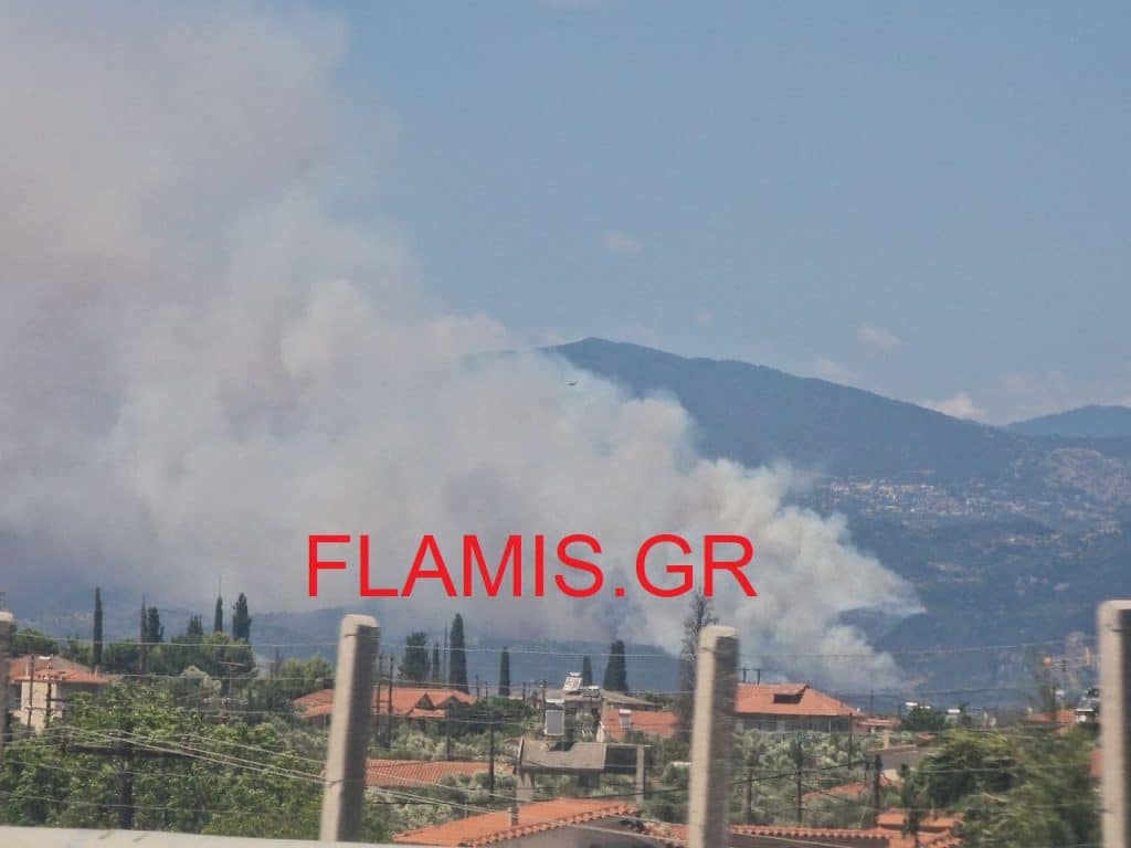 ΕΚΤΑΚΤΟ - Νέα πυρκαγιά στη Δυτική Ελλάδα - Απειλούνται σπίτια - Εκκενώνονται 5 χωριά μετά το Μαραθιά - Δειτε ΒΙΝΤΕΟ ΕΚΤΑΚΤΟ - Νέα πυρκαγιά στη Δυτική Ελλάδα - Απειλούνται σπίτια - Εκκενώνονται 5 χωριά μετά το Μαραθιά - Δειτε ΒΙΝΤΕΟ