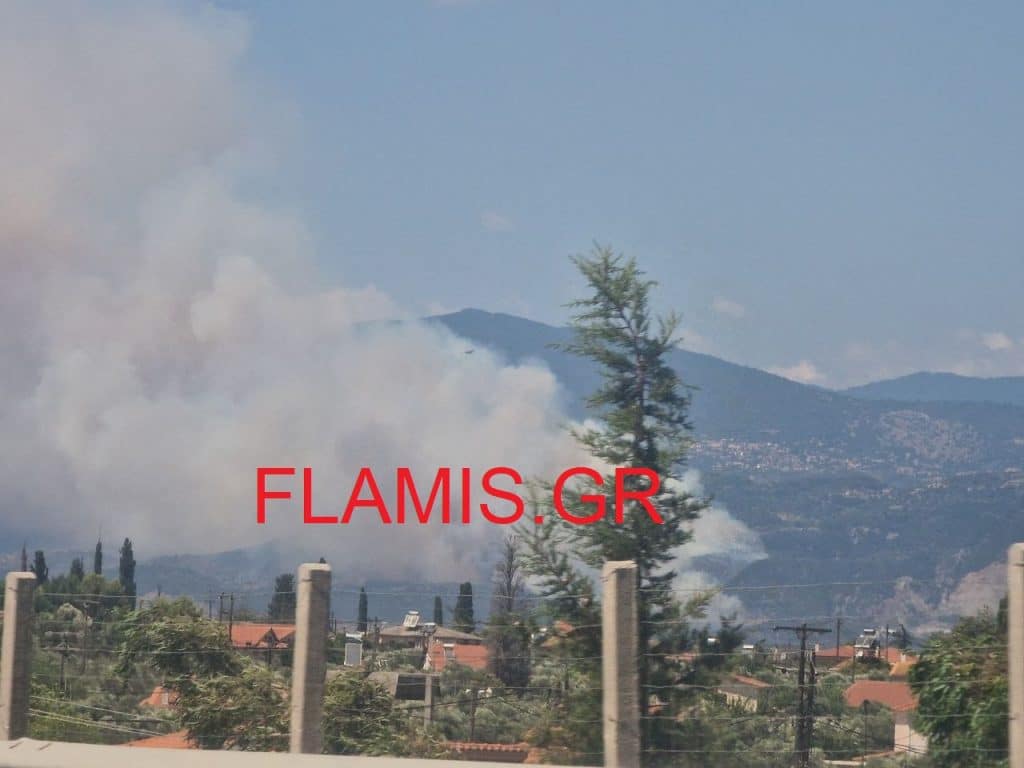 ΕΚΤΑΚΤΟ - Νέα πυρκαγιά στη Δυτική Ελλάδα - Απειλούνται σπίτια - Εκκενώνονται 5 χωριά μετά το Μαραθιά - Δειτε ΒΙΝΤΕΟ ΕΚΤΑΚΤΟ - Νέα πυρκαγιά στη Δυτική Ελλάδα - Απειλούνται σπίτια - Εκκενώνονται 5 χωριά μετά το Μαραθιά - Δειτε ΒΙΝΤΕΟ