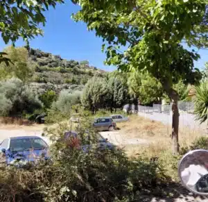 Σε κακή κατάσταση βρίσκεται ο ελαιώνας των πέντε στρεμμάτων στο Ζαβλάνι - φωτο