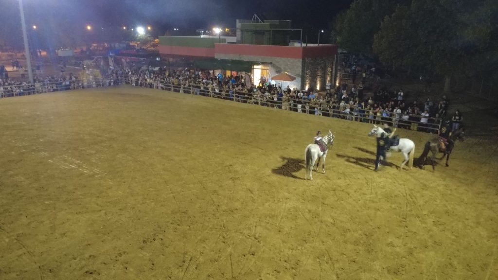 92η Ιππική Έκθεση Ανδραβίδας:  Ένας Φαντασμαγορικός- Διαχρονικός Θεσμός σε Νέα Διάσταση με Ρεκόρ Συμμετοχών - φωτο