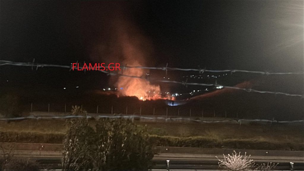 Πάτρα: Μεγάλη κινητοποίηση στις 2 τα ξημερώματα! Φωτιά στη ΜΟΜΑ - φωτο