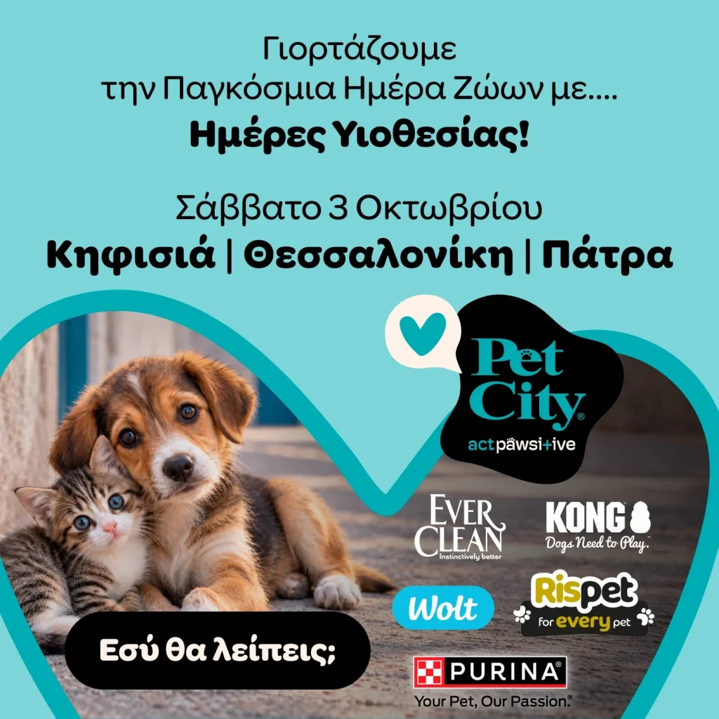 Πάτρα: Ημέρα υιοθεσίας στα Ψηλαλώνια