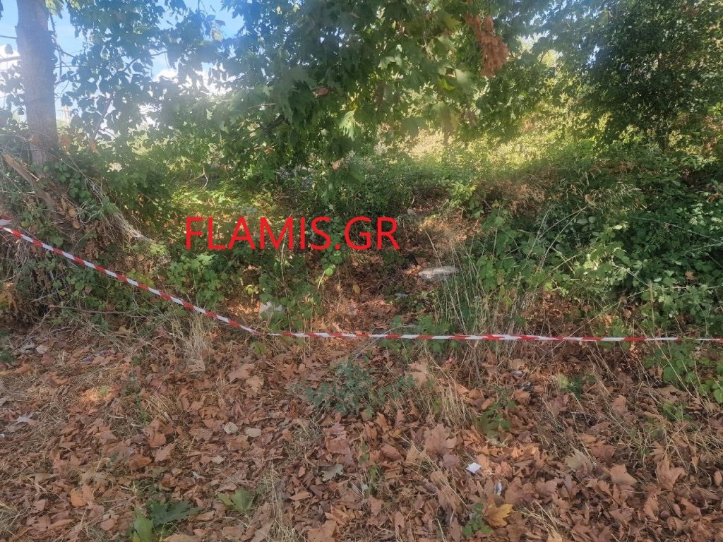Το flamis.gr στο σημείο της γυναικοκτονίας! Ετσι σκότωσε την 25χρονη