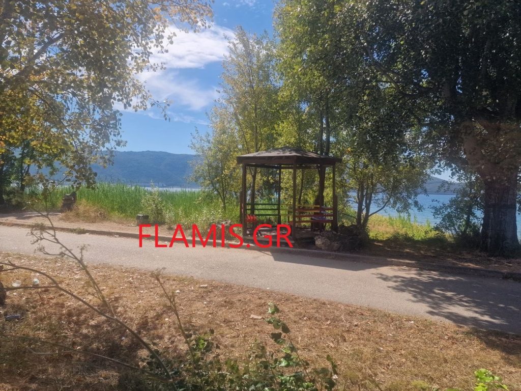 Το flamis.gr στο σημείο της γυναικοκτονίας! Ετσι σκότωσε την 25χρονη