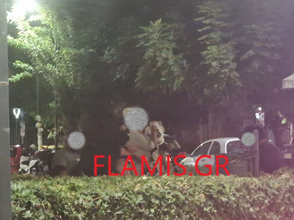 Πάτρα: Ρομά κατέλαβαν την Πλατεία - Πέφτει ξύλο κάθε βράδυ! Χτυπά τις γυναίκα του